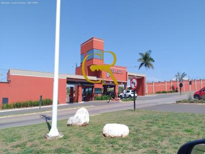 imagem-miniatura